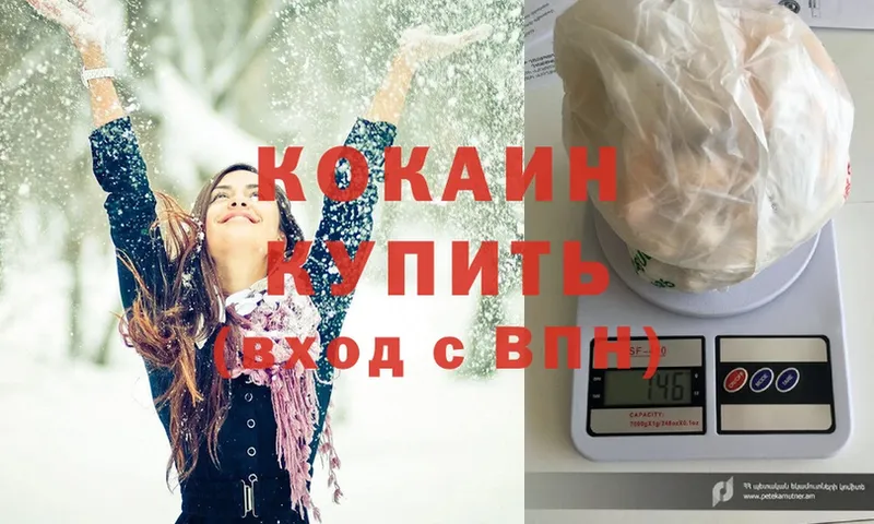 где можно купить наркотик  Камызяк  Кокаин Fish Scale 