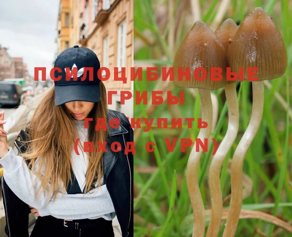 мескалин Артём