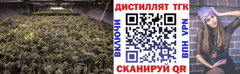 ТГК Wax Камызяк